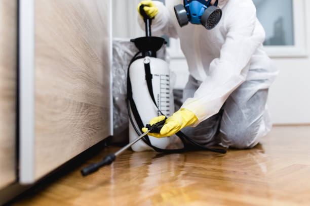 Best Affordable Pest Control Services  in Offutt Af, NE