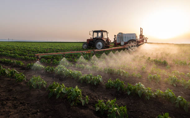 Best Mosquito Control Services  in Offutt Af, NE