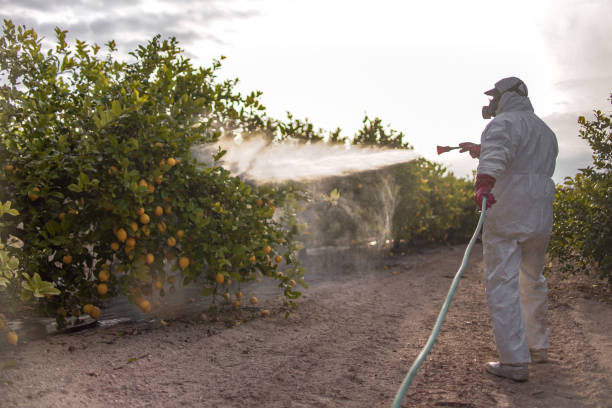 Best Residential Pest Control  in Offutt Af, NE