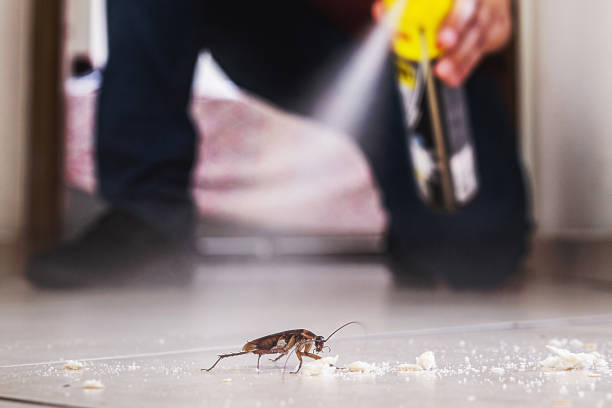 Best Cockroach Control Services  in Offutt Af, NE