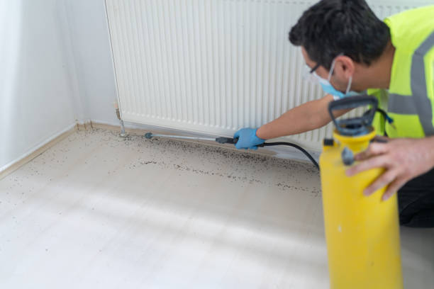Best Local Pest Control Services  in Offutt Af, NE