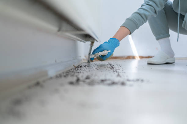 Best Pest Prevention Services  in Offutt Af, NE