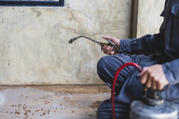 Best Pest Prevention Services  in Offutt Af, NE